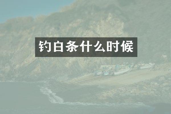 钓白条什么时候