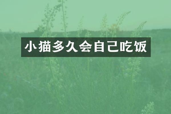 小猫多久会自己吃饭
