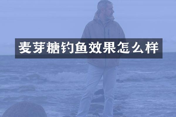 麦芽糖钓鱼效果怎么样