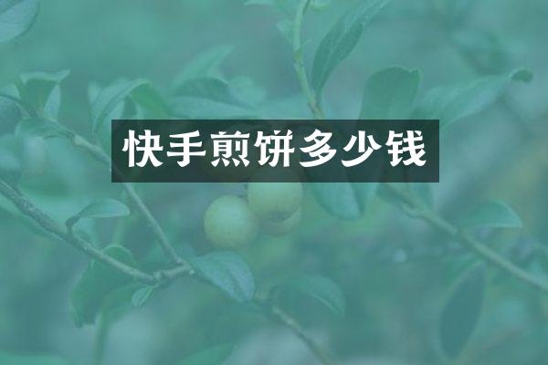 快手煎饼多少钱