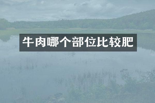 牛肉哪个部位比较肥