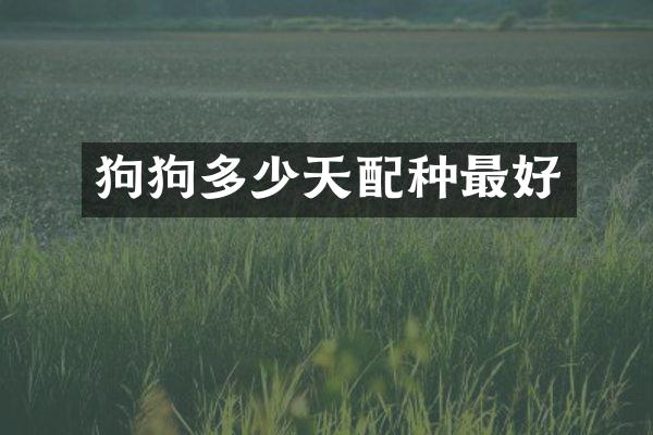 狗狗多少天配种最好