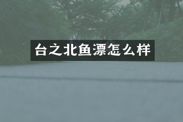 台之北鱼漂怎么样