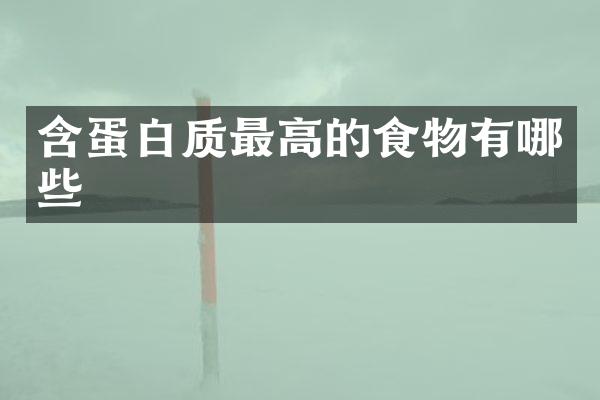 含蛋白质最高的食物有哪些