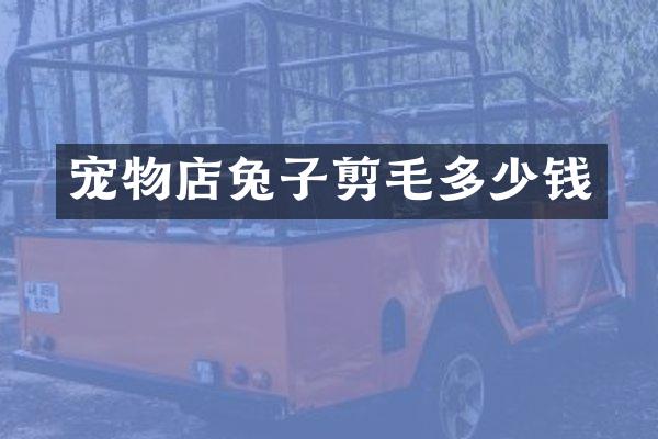 宠物店兔子剪毛多少钱