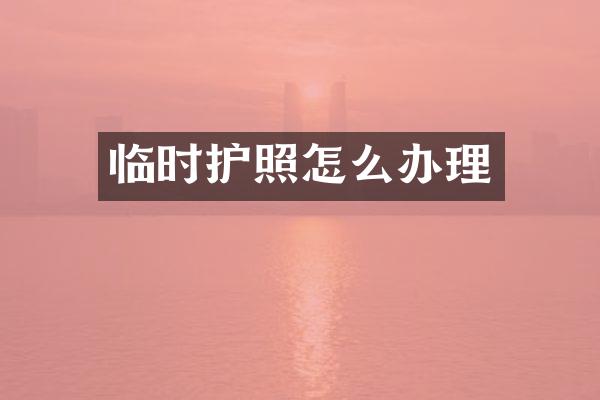临时护照怎么办理