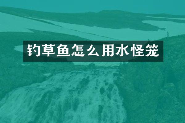 钓草鱼怎么用水怪笼