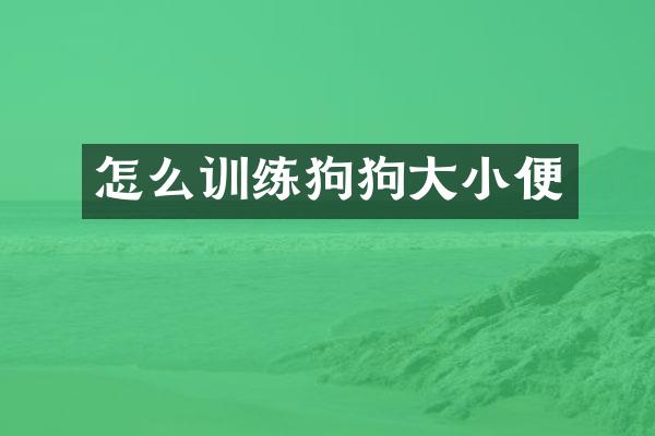 怎么训练狗狗大小便