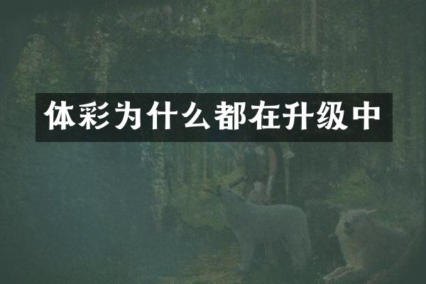 体彩为什么都在升级中