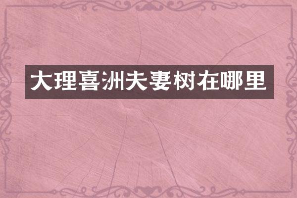 大理喜洲夫妻树在哪里