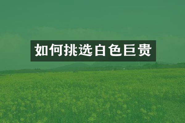 如何挑选白色巨贵