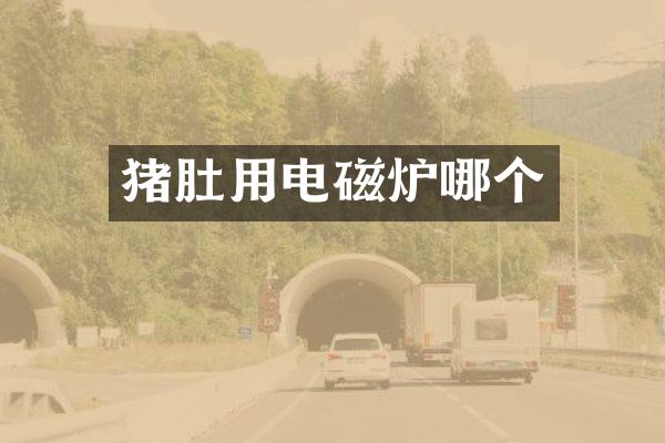 猪肚用电磁炉哪个