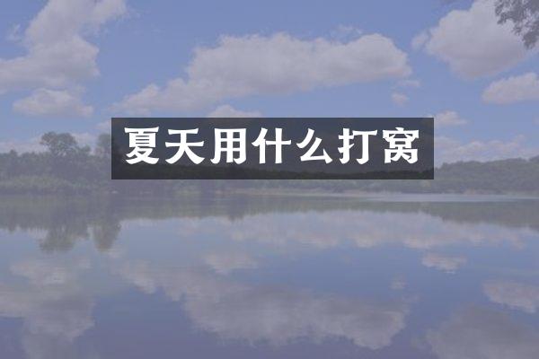 夏天用什么打窝