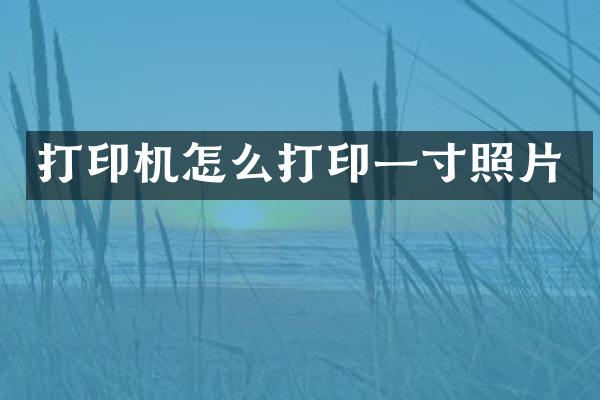 打印机怎么打印一寸照片