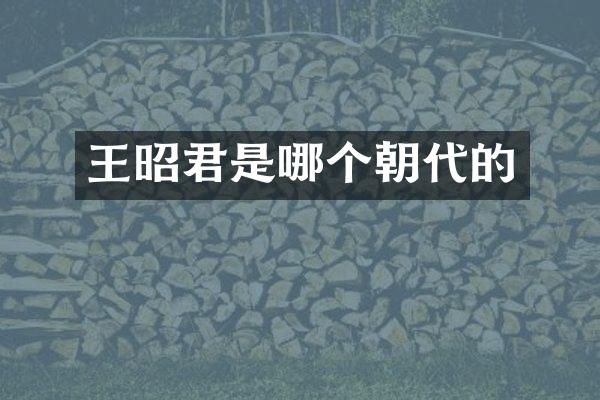 王昭君是哪个朝代的