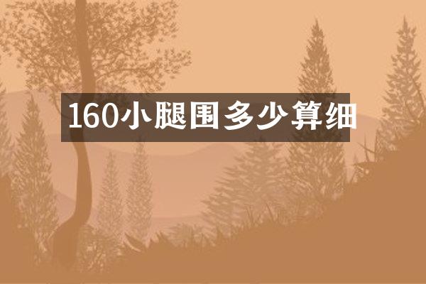 160小腿围多少算细