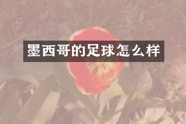 墨西哥的足球怎么样