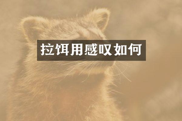 拉饵用感叹如何