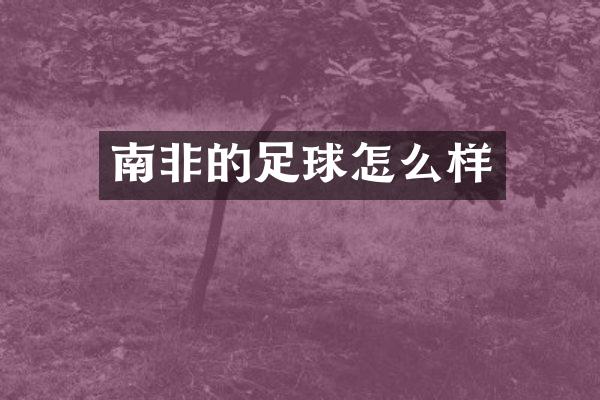 南非的足球怎么样