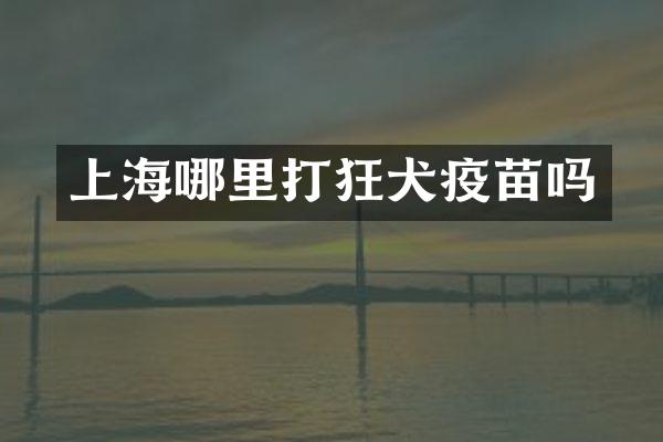 上海哪里打狂犬疫苗吗