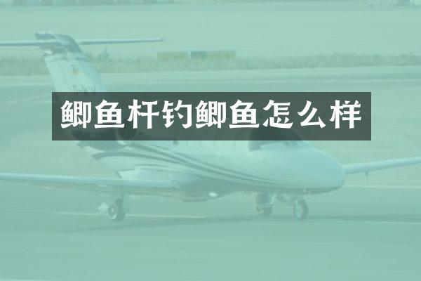 鲫鱼杆钓鲫鱼怎么样