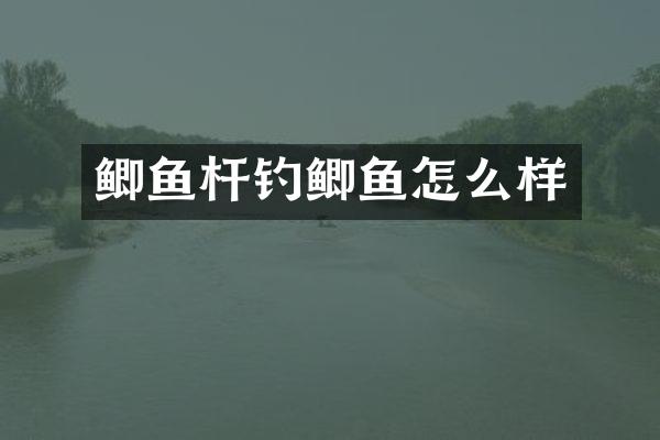 鲫鱼杆钓鲫鱼怎么样