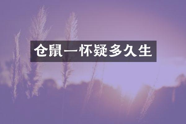 仓鼠一怀疑多久生