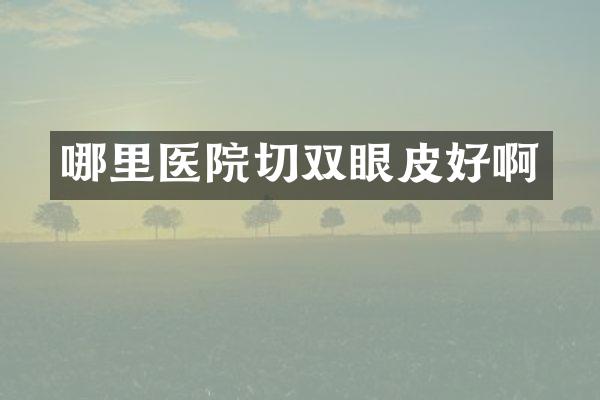 哪里医院切双眼皮好啊