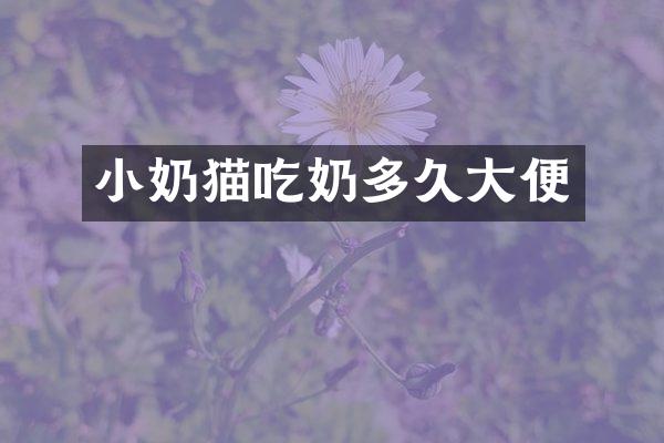 小奶猫吃奶多久大便