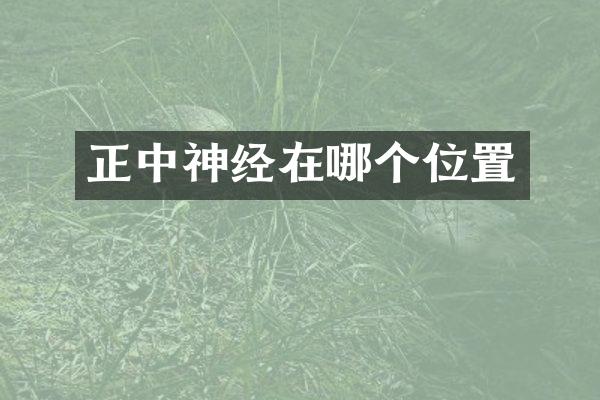 正中神经在哪个位置