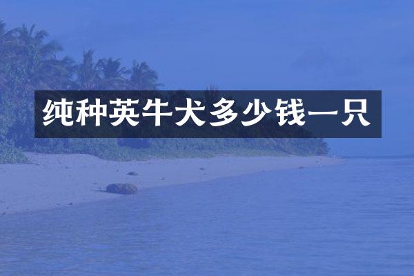 纯种英牛犬多少钱一只
