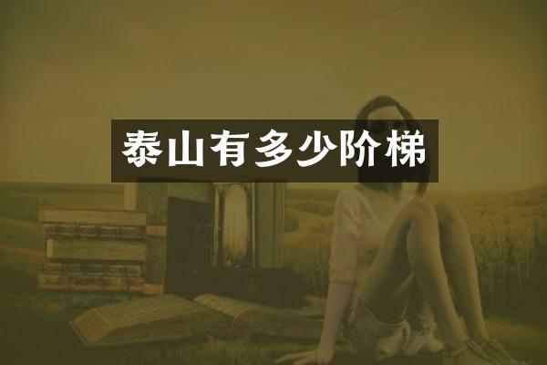泰山有多少阶梯