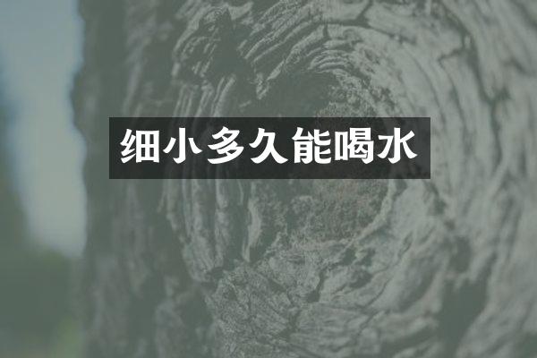细小多久能喝水
