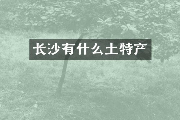 长沙有什么土特产