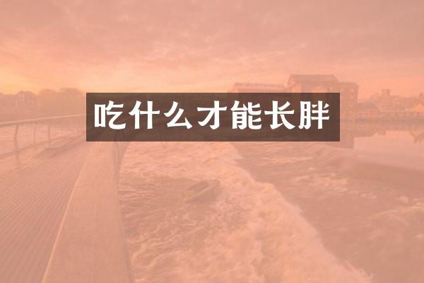 吃什么才能长胖