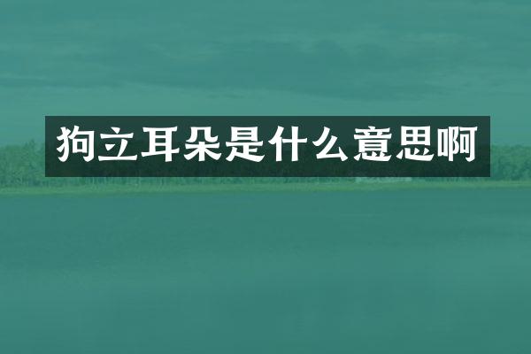 狗立耳朵是什么意思啊
