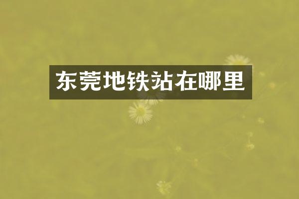 东莞地铁站在哪里