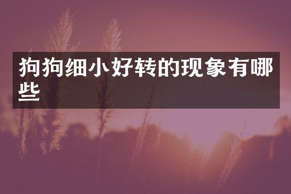 狗狗细小好转的现象有哪些