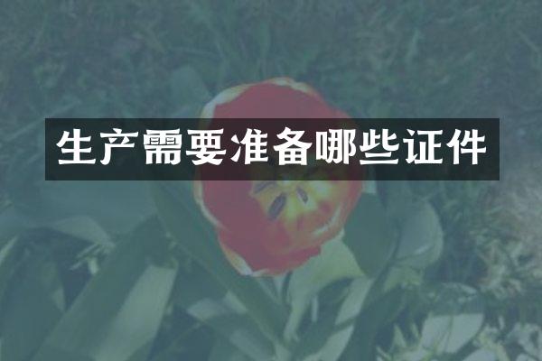 生产需要准备哪些证件