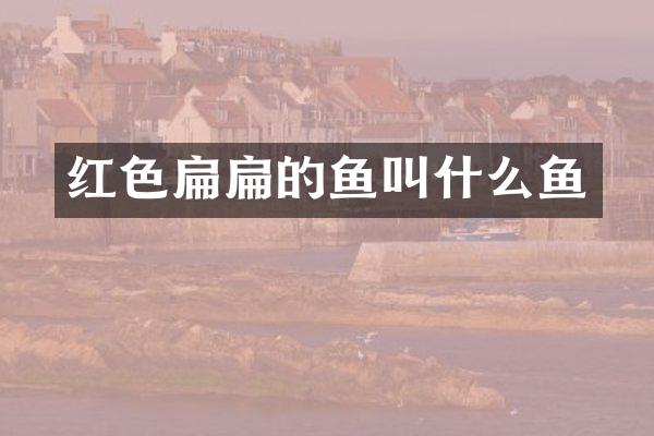 红色扁扁的鱼叫什么鱼