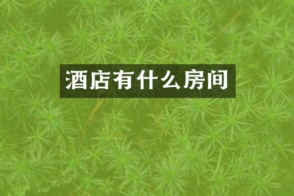 酒店有什么房间