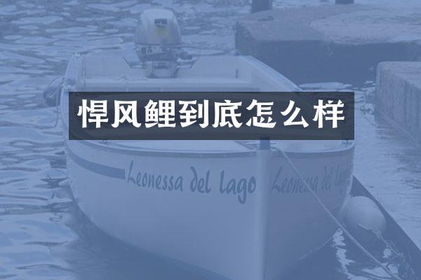 悍风鲤到底怎么样