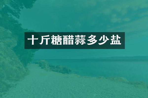 十斤糖醋蒜多少盐