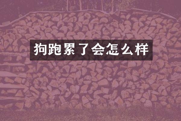 狗跑累了会怎么样