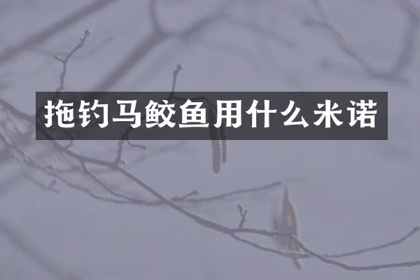 拖钓马鲛鱼用什么米诺