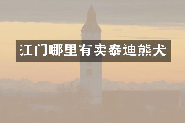 江门哪里有卖泰迪熊犬