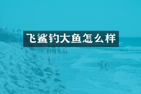 飞鲨钓大鱼怎么样