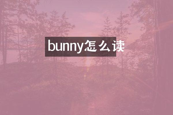 bunny怎么读