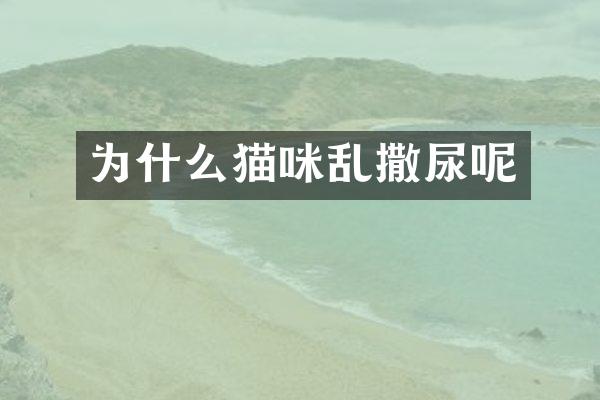 为什么猫咪乱撒尿呢