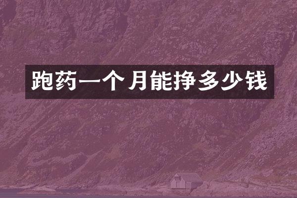跑药一个月能挣多少钱